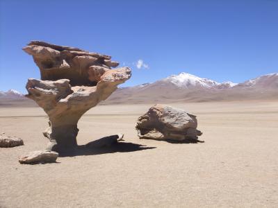 Arbol de Piedra Arbol de Piedra
